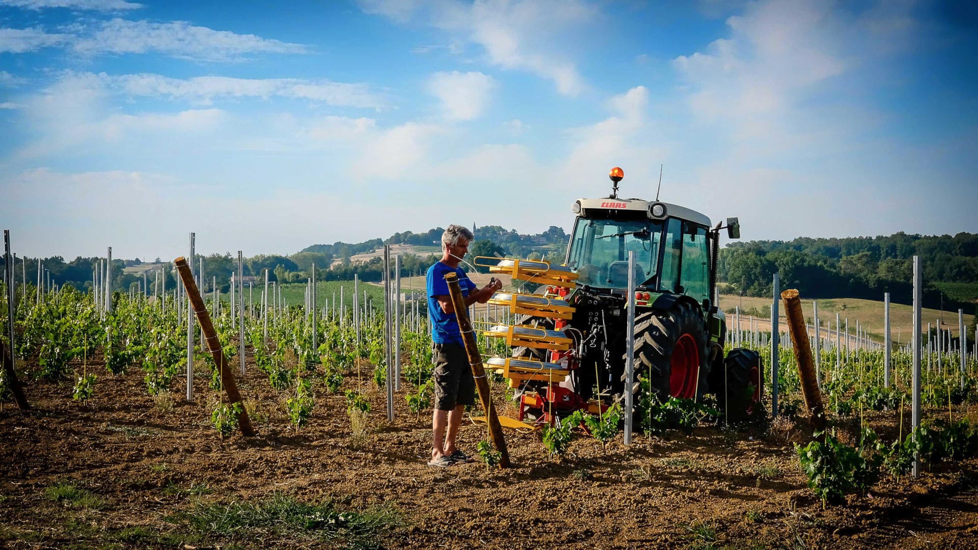 Olivier attache la vigne