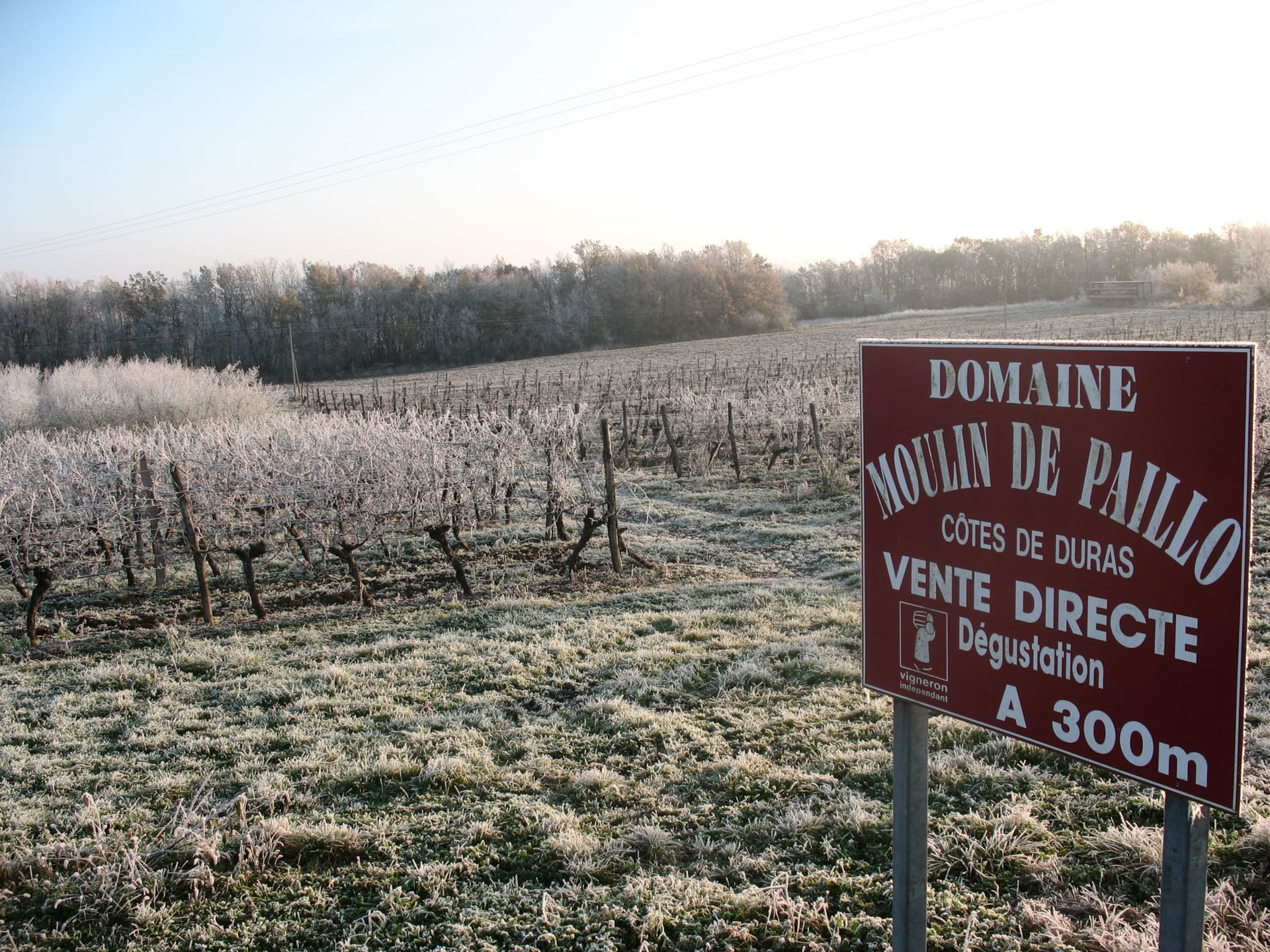 Domaine sous la neige